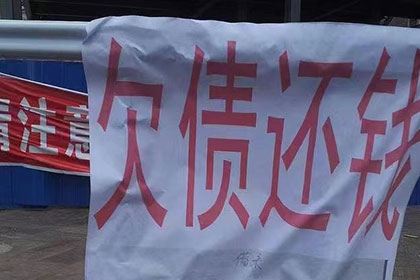 单一股东对债务承担连带责任案获判胜诉